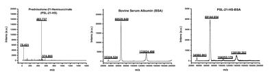 Development and optimization of an in-house heterologous ELISA for detection of prednisolone drug in enzyme conjugates using spacers